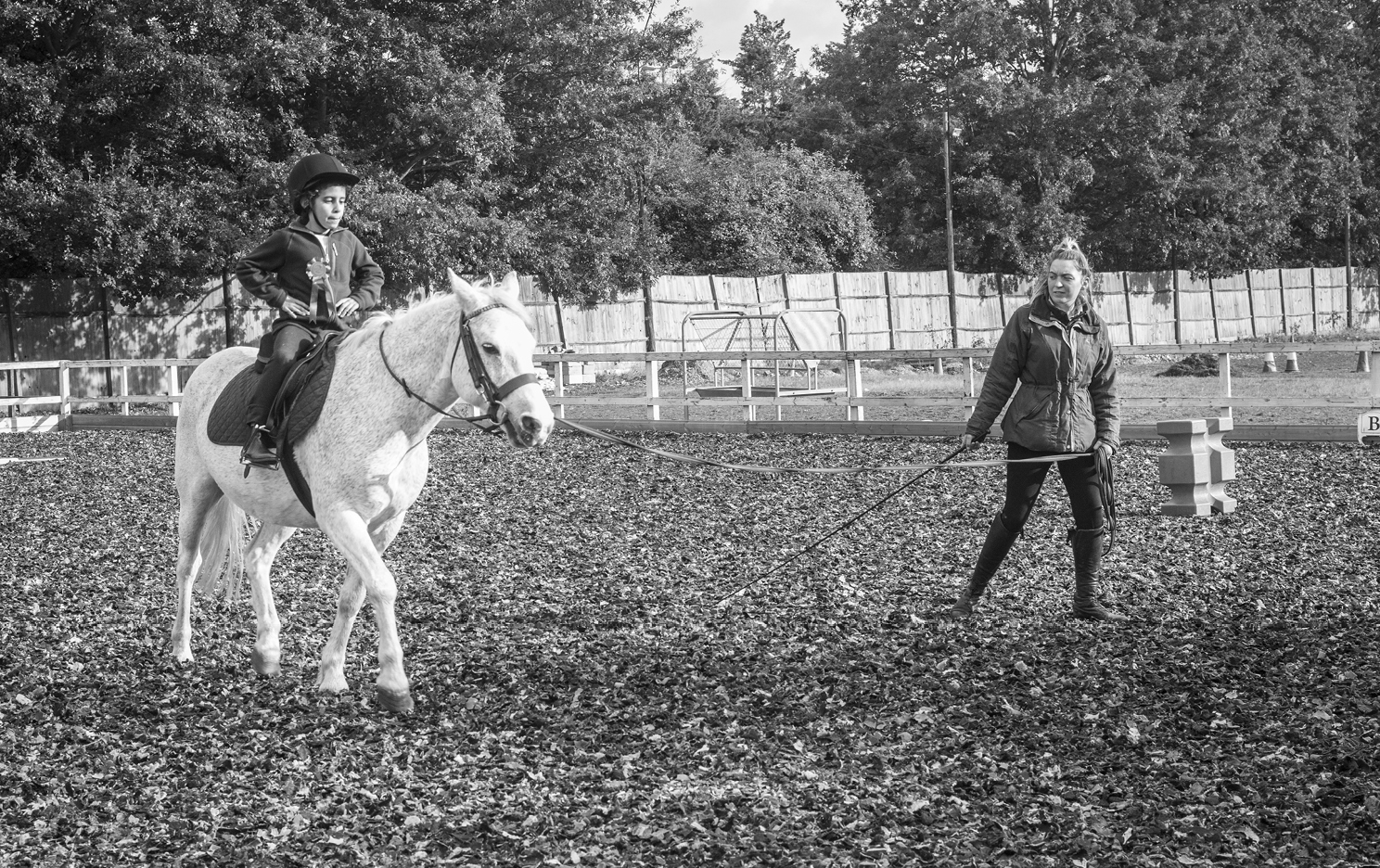 2016.Sandell.book Pages.v116