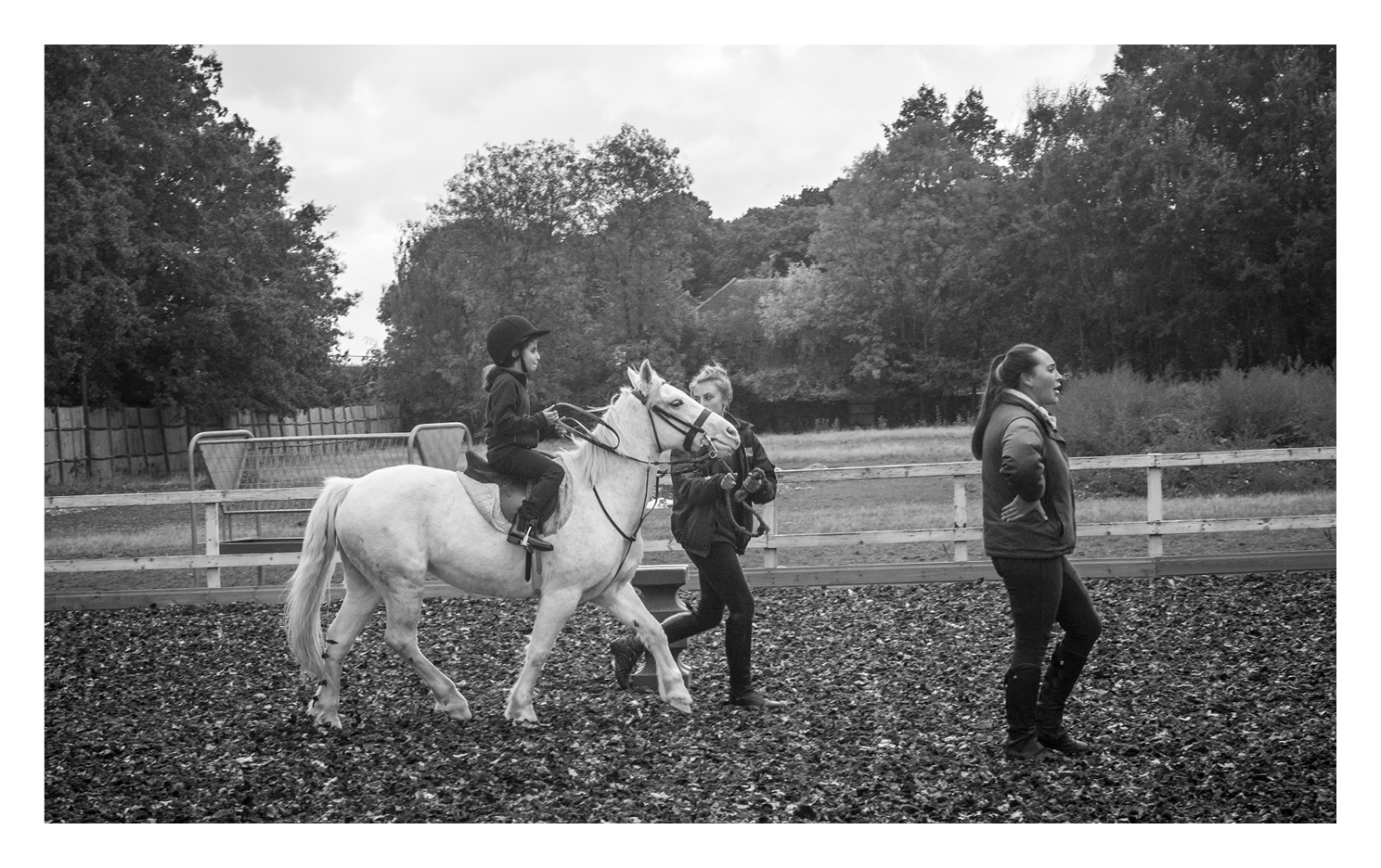 2016.Sandell.book Pages.v118