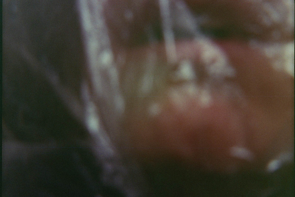 Autosave-File vom d-lab2/3 der AgfaPhoto GmbH