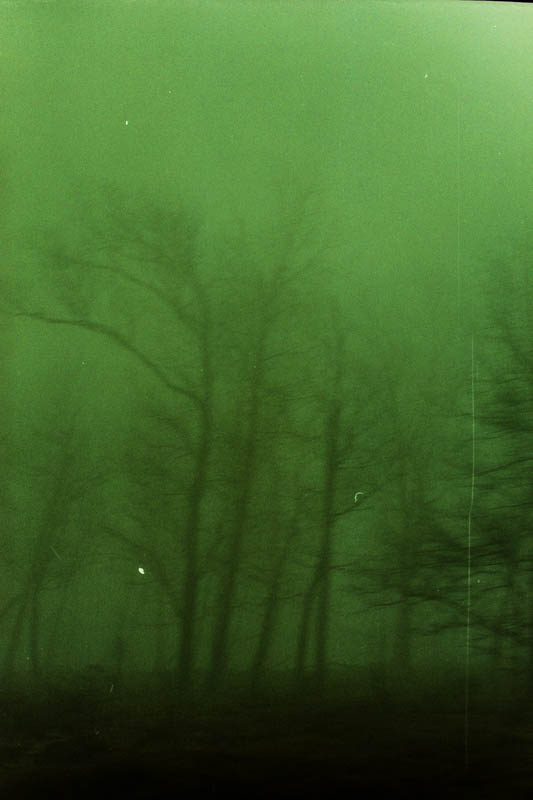 My beautiful picture